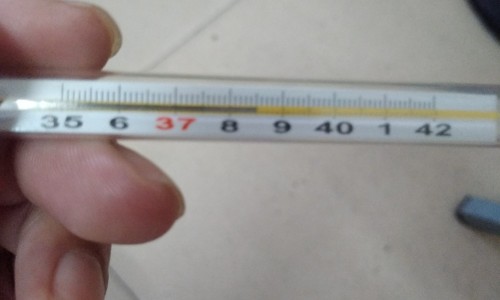 吃啥能治白头发最有效-吃什么食物可治白发网-分享吃什么食物可治白发变黑发，吃什么食物可治白发呢知识库